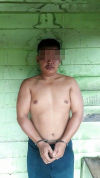 Bhabinkamtibmas Polsek Tapung Tangkap Pelaku Curas di Desa Karya Indah 