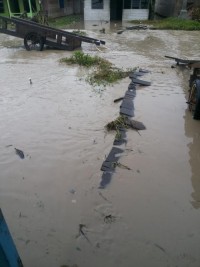 Pasang Keling Hantam Ratusan Rumah Penduduk
