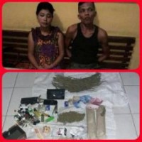 Diduga Pelaku Ganja, Jajaran Polsek Tambusai Tangkap Pasutri di Desa Tingkok-Rohul