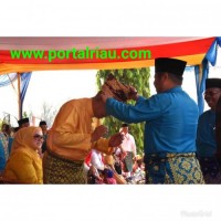 Bupati Bengkalis Amril Pasangkan “Tebing Runtuh” ke Gubri
