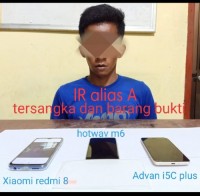 Bergerak Cepat, Polsek Pinggir Berhasil Amankan Pelaku Curat 
