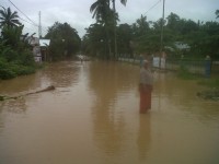 Ribuan Warga di Kecamatan Rambah-Rohul Terendam Banjir