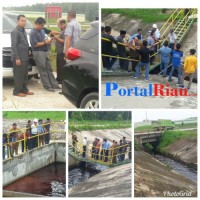  DPRD Kabupaten Pelalawan melakukan Sidak ke Perusahaan PT RAPP   