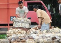 Masyarakat Rohul Masih Keluhakan Harga Tak Kunjung Naik