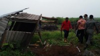 Geram Dengan Bencana Karlahut, Bupati Robohkan Pondok Pemilik Lahan