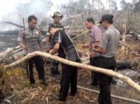 Seluas 1,5 Ha lahan di Kecamatan Rambah Terbakar