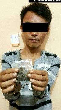 Pengedar Daun Ganja Di Ringkus Jajaran Polsek Diak Hulu