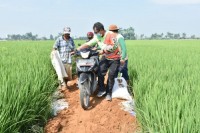 Kunjungan ke Desa,Wabup Sergai,Lestarikan Gotong Royong sebagai Identitas