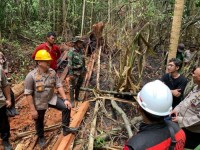 Kapolda Riau Miris Lihat  Illegal Logging-  Kayu Ditebang, Dibakar Lalu Dijadikan Kebun Sawit 