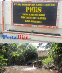 Limbah PT. Sri Indrapura Sawit Lestari di Duga Cemari Sungai Kiyap