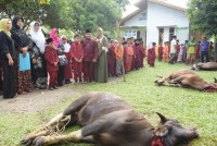 Tumbuh Kembangkan Semangat Berbagi, SDN  1 Bengkalis Sembelih Hewan kurban