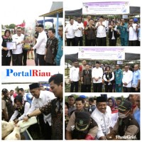 Kementerian Pertanian RI, akan meningkatkan target populasi ternak sapi di Kabupaten Siak