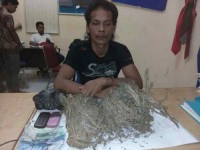 Diduga Pengedar Daun Ganja, Pria Ini Ditangkap Polisi