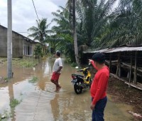 Anggota DPRD Bengkalis,Kaderismanto meninjau Banjir saat turun hujan di Duri.