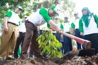 Peringati Hari Menanam Pohon, Firdaus Lakukan Penanaman Pohon di Pangkalan Roesmin Nurdjadin