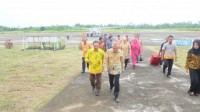 Sekda Jemput Kedatangan Gubri Dan Dirjen Perkebunan Di Bandara Tempuling 