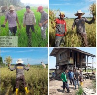 Ipda Hasoloan Samosir Sang Maestro Merubah Pola Lahan Tidur Menjadi Bermanfaat