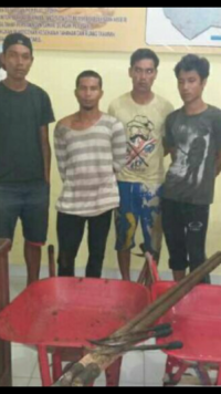 Lagi 4 Tersangka Pencurian Kelapa Sawit PTPN V Di Tangkap