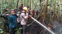 Kapolda Riau  Ikut Terjun Kelapangan Padamkan Api di Rupat Utara, Bengkalis 