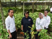 Pemulihan Lingkungan dan Rehabilitasi Lahan Menjadi Fokus Utama KLHK