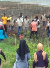 ksj menanam mangrove bantuan kapoldasu dipantai nagajaya