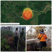 Telah Terjadi Kebakaran Lahan Seluas 26 Ha Milik PT.SSS Dikabupaten Pelalawan