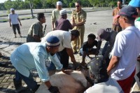Syamsuar : Sembelihlah Semua Hal Yang Buruk Pada Diri Kita
