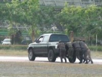 Pasca Cuti Bersama, Banyak Mobnas Pemkab Rohul Rusak