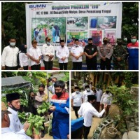  Siap Mendapatkan Gelar Proklim, Desa Pematang Tinggi Binaan PHE Kampar Dikunjungi Wabup Pelalawan