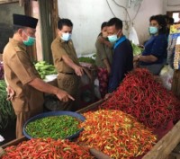 Pantau Harga Bahan Sembako, Kadis Koperasi UMKM Perindag Pelalawan Sidak Pasar