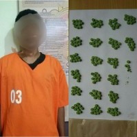 Polres Inhil Ringkus Pemilik Ratusan Pil Extasy