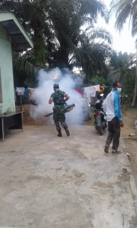 Berantas Nyamuk Demam Berdarah Babinsa Koramil Tambusai Dan Puskesmas I Tambusai Laksanakan Fogging 