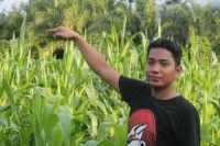 Ekonomi  Terperosok, Kehidupan Masyarakat Rohul Serba Kesulitan