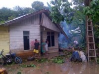Akibat Angin Kencang Sebuah Rumah di Dusun Tulang Gajah Rusak Di Timpa Pohon