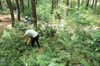 Dobrak Kembali Pariwisata, Pokdarwis Candika Lakukan Goro