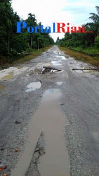 Warga  Siak Merasa Kecewa Melihat Kondisi Jalan Hang tuah  dusun 02 dan Dusun 03 Kampung bandar
