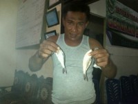 PMKS PTPN Sei Tapung Kembali Diduga Cemari Sungai, Masyarakat Minta Didenda Rp 1 M