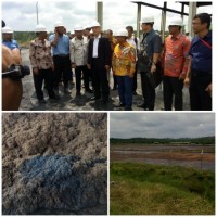 BUDIDAYA GANGGANG DAPAT MENINGKATKAN PEREKONOMIAN MASYARAKAT SEKITAR