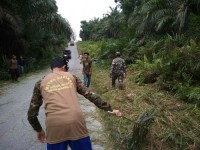 Serda Gunawan Babinsa 09 Langgam Kodim 0313 KPR Giat Goro Bermasa Pemuda Desa Makmur