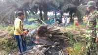 KORAMIL 14/KEPENUHAN BANTU WARGA SIAPKAN LAHAN MASJID
