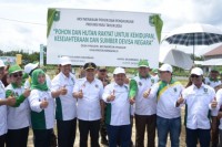 Menanam Pohon Dan Penghijauan Tahun 2016 Oleh Gubernur Riau Didampingi Bupati Bengkalis