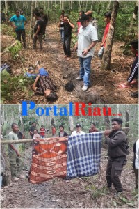Di Temukan  Mayat Korban Pembunuhan  Sadis Di Desa  Gondai