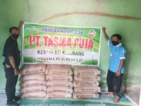 TNI di Rohul Amankan Pemilik Ganja di Tambusai 