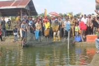 Fwd: Bupati Suyatno Hadiri Panen Raya Ikan di Kelurahan Bagan Barat
