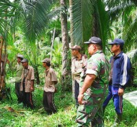 Babinsa Perigi Raja Koramil 04/Kuindra Melaksanakan Kegiatan Sosialisasi Dan Patroli Karlahut 