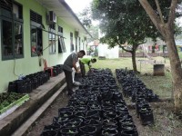 Kodim 0314/Inhil Terapkan Tanam Cabai Media Polybag di Lingkungan Perkantoran dan Perumahan Prajurit