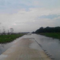 Desa Sontang dan Bonai Sudah Satu  Bulan Direndam Banjir