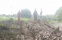 Babinsa Koramil 04/Pkl Kuras Giatkan Patroli Rutin Hutan Lindung Cegah Karhutla