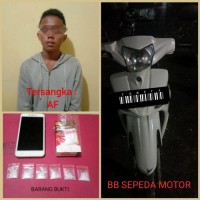 Polsek Pinggir Amankan Pelaku TP Narkotika Janis Sabu Dengan Undercover Buy
