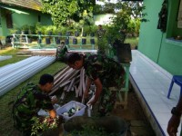 Koramil 01/Rengat Laksanakan Budidaya Tanaman Hidroponik